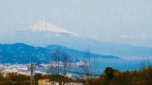 ﾌﾞﾛｸﾞ3月 ﾃﾞｲｹｱ富士山